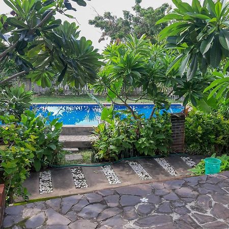 Oyo 3070 Villa Lovina Eco Lodge エクステリア 写真